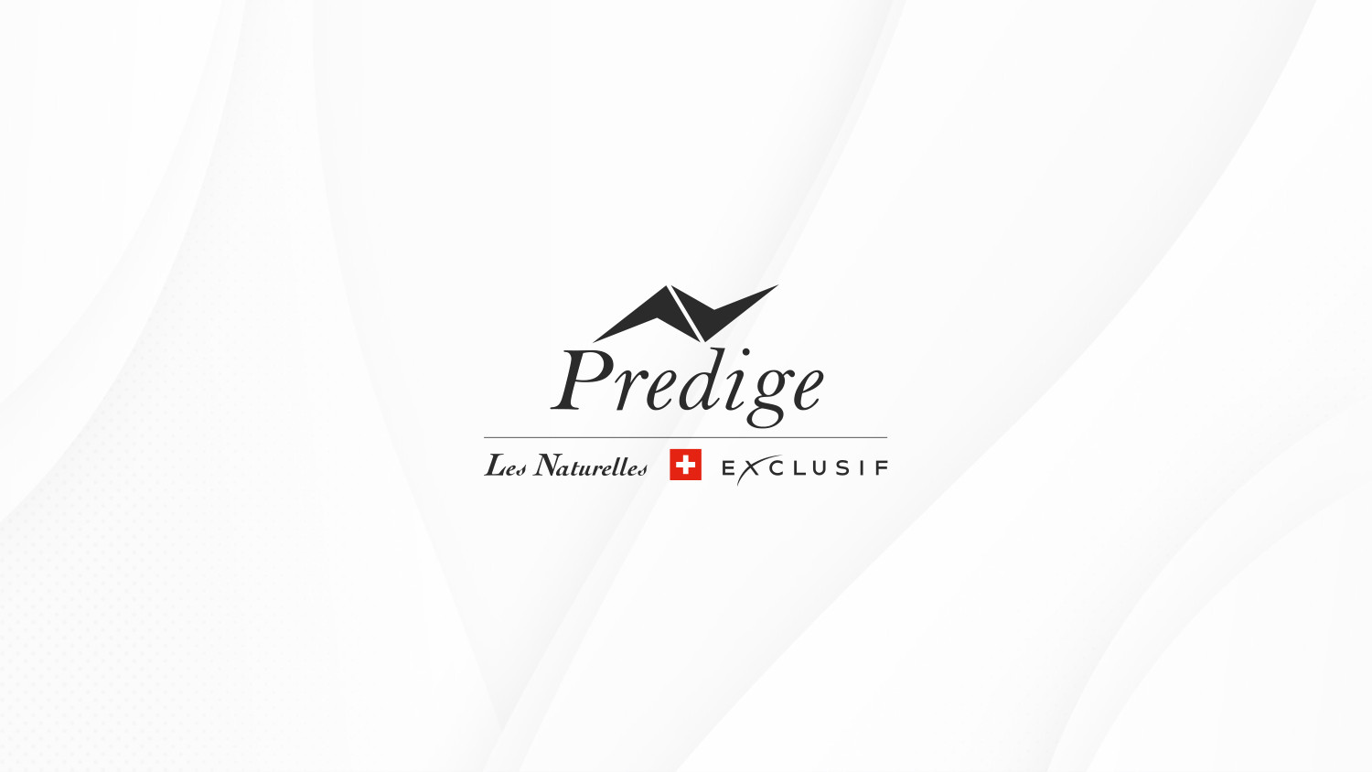 Predige — обложка продуктовой презентации