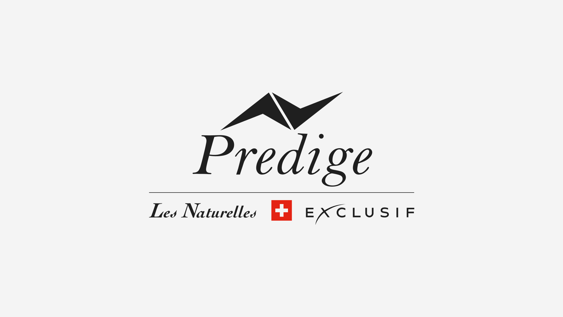 Predige — продуктовая презентация бренда